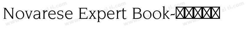 Novarese Expert Book字体转换